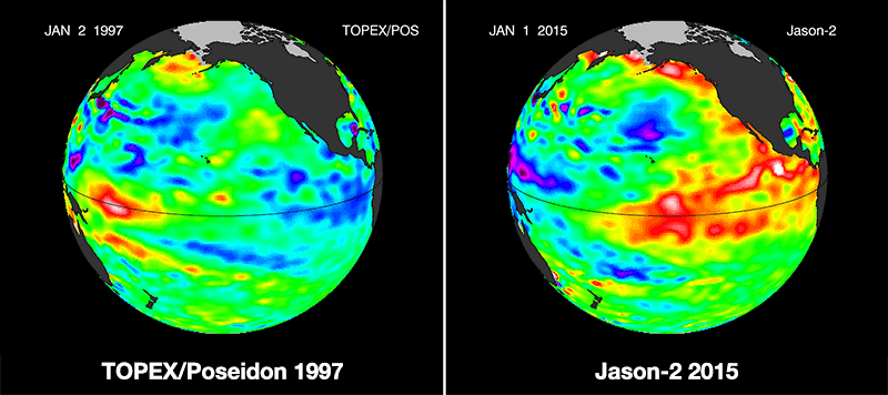 This visualization shows side by side comparisons of Pacific Ocean sea surface height (SSH) anomalies of what is presently happening in 2015 with the Pacific Ocean signal during the famous 1997 El Niño. These 1997 and 2015 El Niño animations were made from data collected by the TOPEX/Poseidon (1997) and the OSTM/Jason-2 (2015) satellites. Image credit: NASA's Jet Propulsion Laboratory