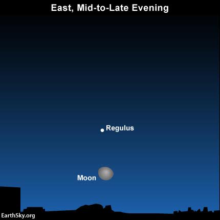 2015-december-29-moon-and-regulus