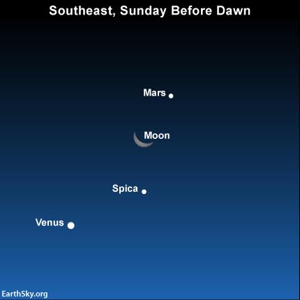 2015-december-5-moon-venus-spica-mars