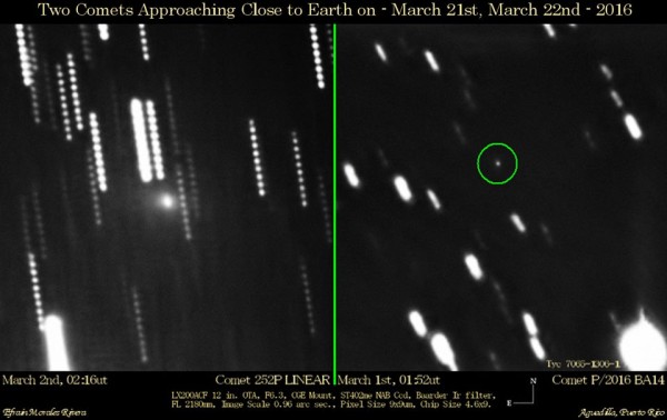 This new photo shows comet 252P/LINEAR on March 2 (left) and small comet P/2016 BA14 on March 1 (right). The twin comets were captured using a 12