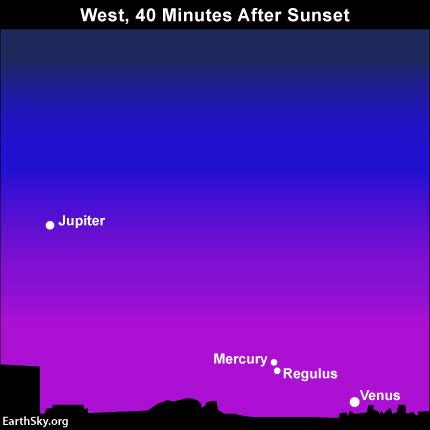 For a big sky watching challenge, try finding the planet Mercury in conjunction with the star Regulus on July 30, 2016. Mercury and Regulus will be in between the dazzling planets Venus and Jupiter, the third and fourth brightest celestial bodies, respectively, after the sun and moon. Read more.
