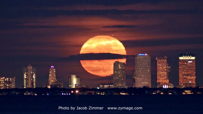moon-supermoon-Jacob-Zimmer-Tampa-FL-12-3-2017-e1512386329531.jpg