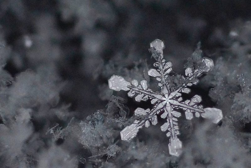black-and-white snowflake with hexagons on the end of its arms.