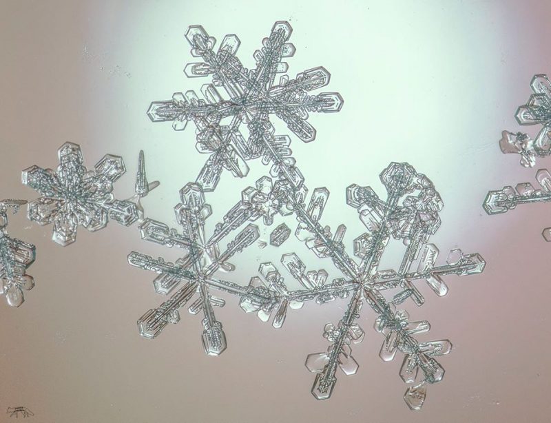 Closeup of feathery snowflakes.