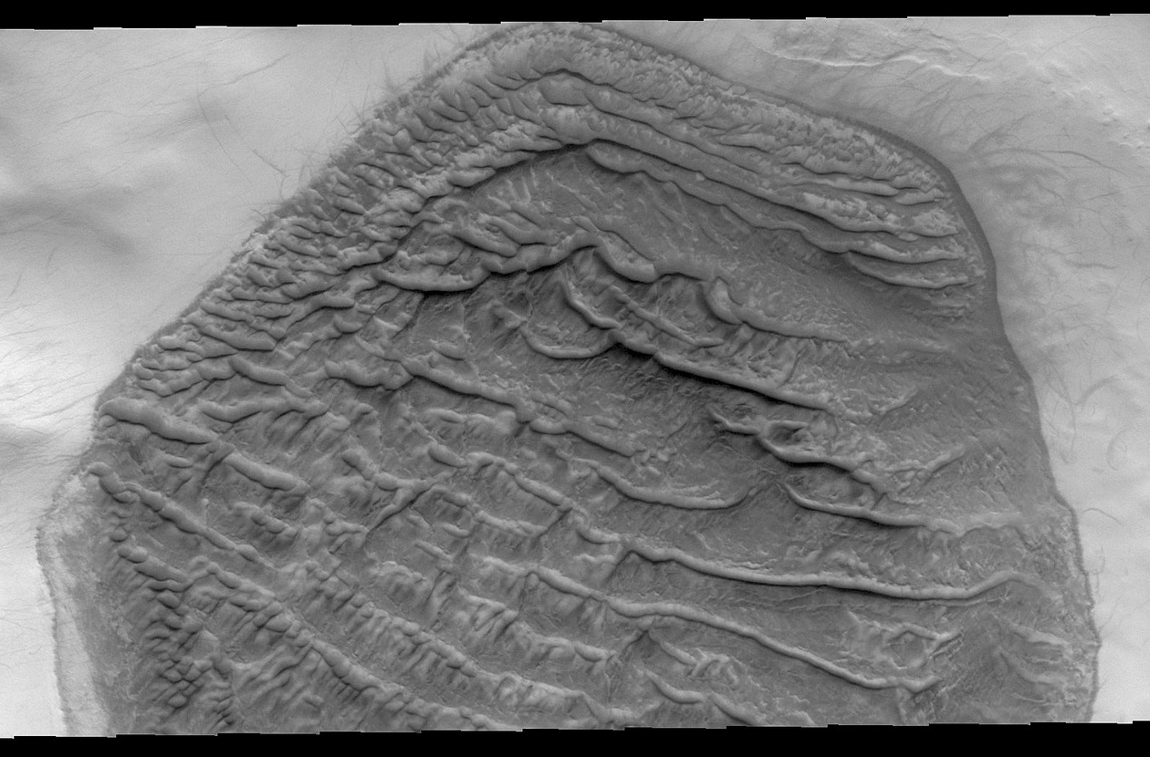 Black and White image of the hexagonal dunes on Mars