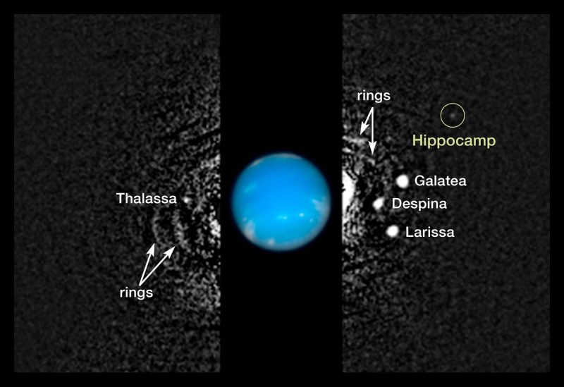 Inner moons and rings of Neptune.