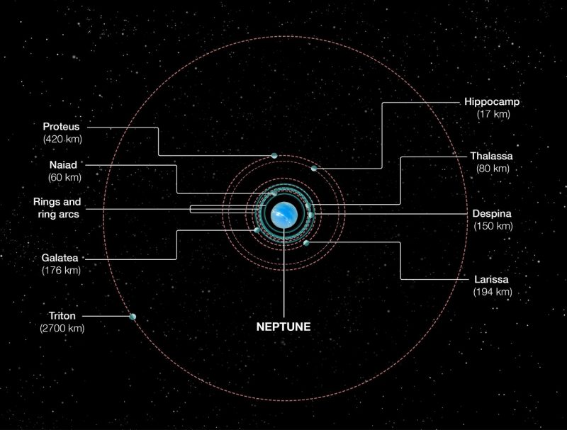 Orbits of Neptune's inner moons.