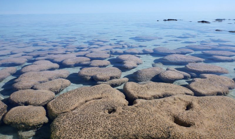Large, flatish rocks in shallow blue water.