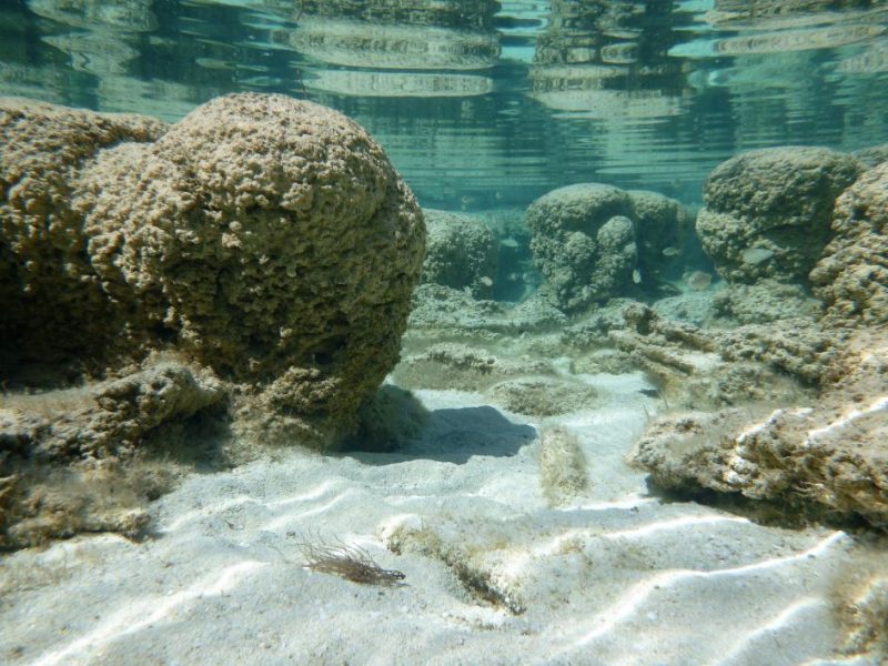 Underwater scene with round bumpy rocks.