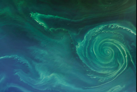 Green swirl with spiral arms in the Baltic Sea.