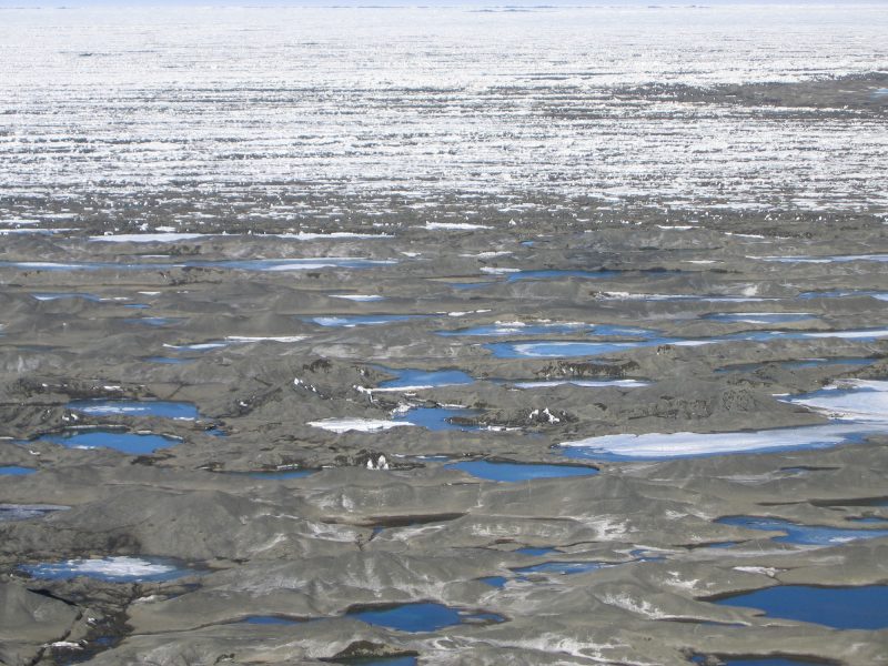 Many blue roundish pools on gray ice landscape.