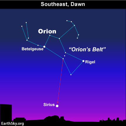 Image result for Sirius star map