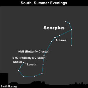 Scorpio Star Chart