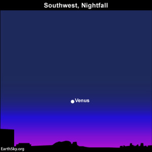 Venus at nightfall