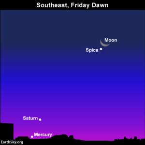 Moon, Spica before dawn: Mercury, Saturn at dawn November 29. Read more