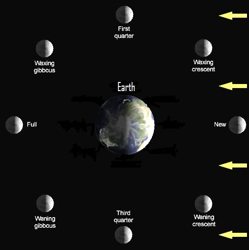 Diagram of moon in orbit around earth showing lighted side.