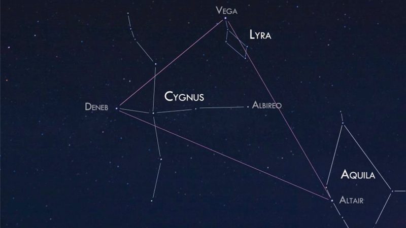 Photo of Suymmer Triangle stars, and their constellations, annotated.