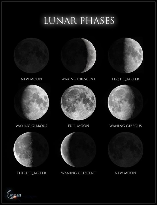 Nine photos of the moon going through its different phases.