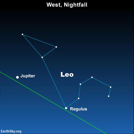 Look westward at nightfall for the dazzling planet Jupiter, the brightest star-like object in the evening sky, and the star Regulus, the brightest in the constellation Leo the Lion'.