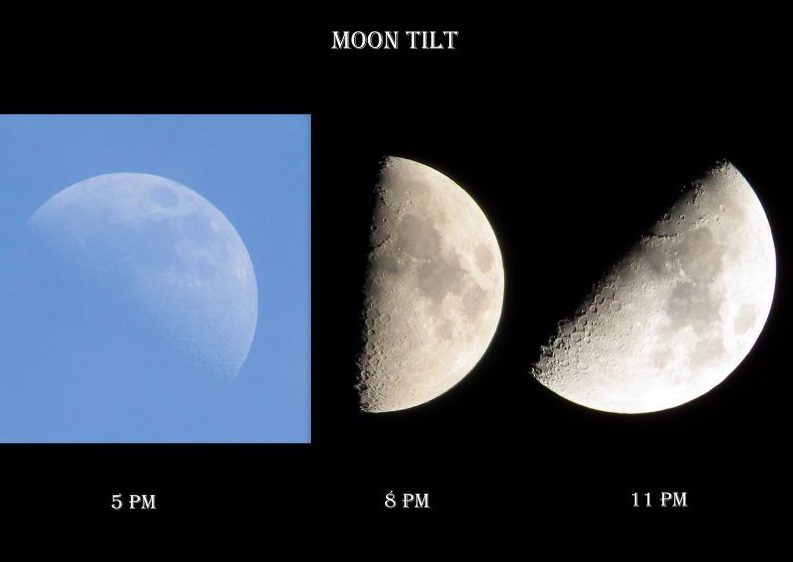 South Moon Under Size Chart