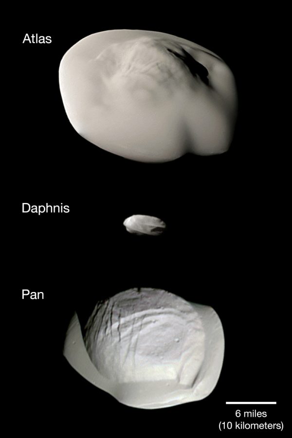 Space rocks, Atlas and Pan large, Daphnis small.