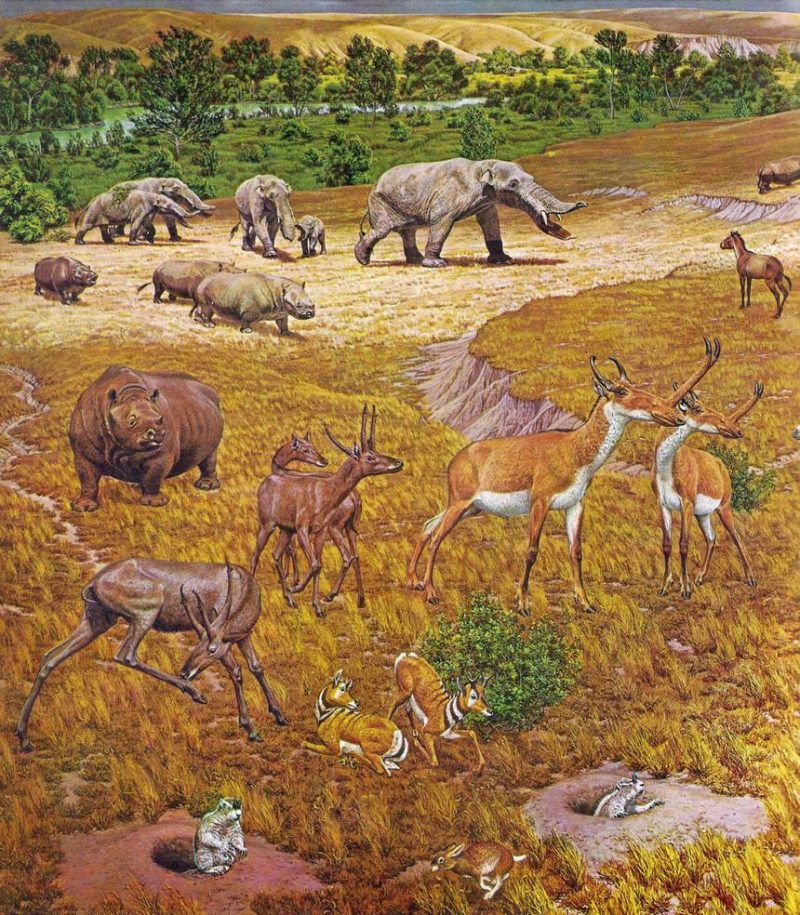 Plains and riverbottom with many odd animals including mastodons.