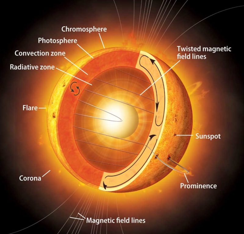 Cutaway view of sun showing different layers such as convection zone and photosphere.
