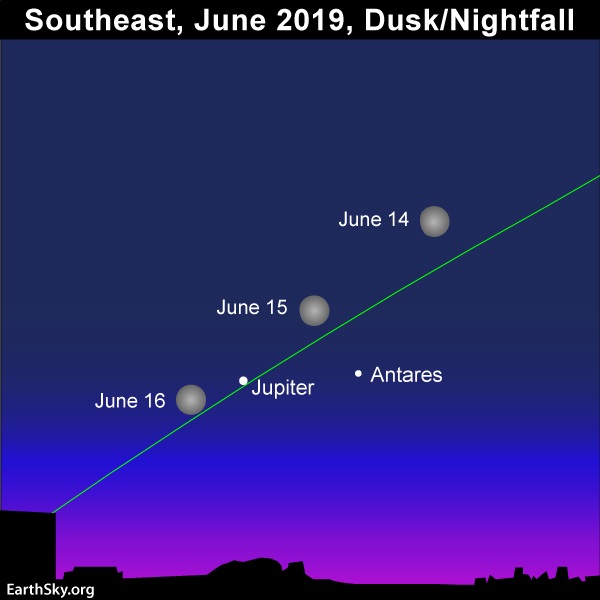 Bright moon swings by the star Antares and planet Jupiter from June 14 to 16, 2019.