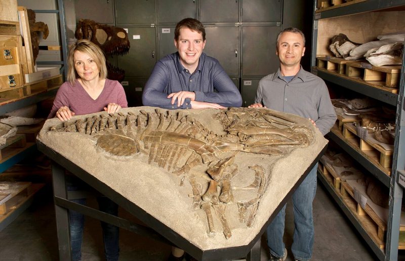 Woman and two men scientists standing behind a large stone with a skeleton imprint.