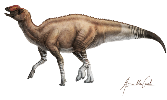 Four-legged dinosaur with raised head, open mouth, long stiff striped tail.