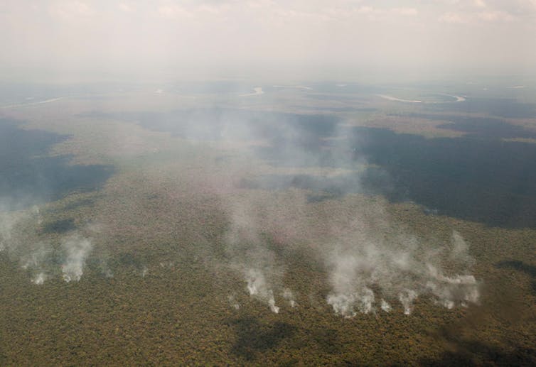 Aerial view of multiple point sources of billowing white smoke over green forest.