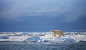 What climate change in the Arctic means for the rest of us - EarthSky