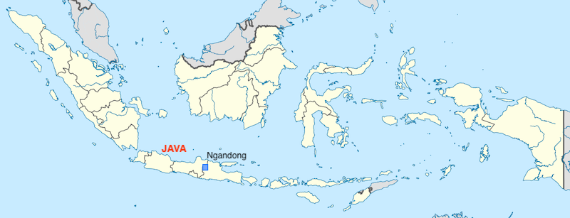 A map of Indonesia with Ngandong marked.