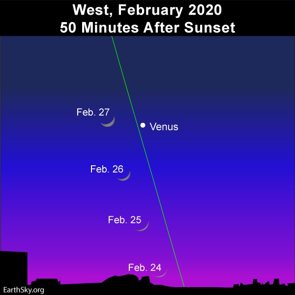 Young moon and Venus adorns the western evening twilight in February 2020.