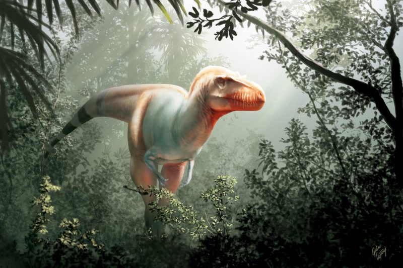 White tyrannosaur with striped tail and red head in a jungle setting.