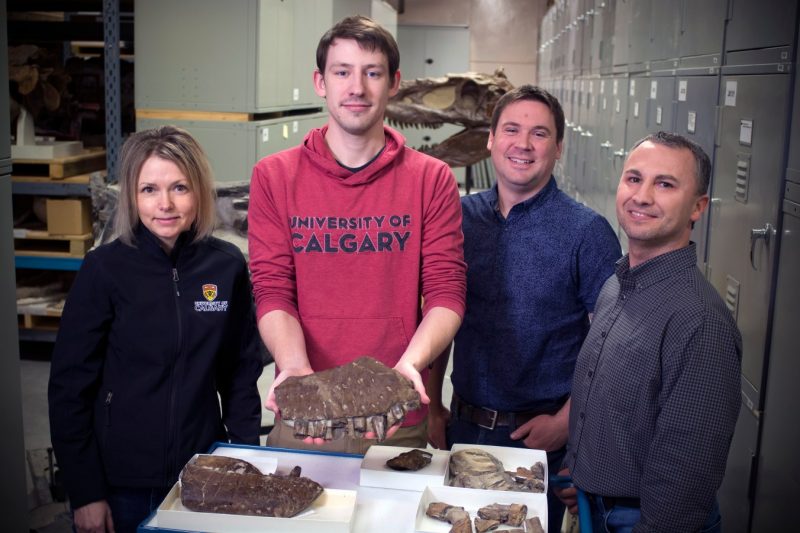 A photo showing four of the paper authors standing behind a table with fossils on it.