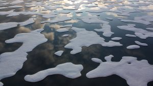 Arctic ice melt changing major ocean current - EarthSky